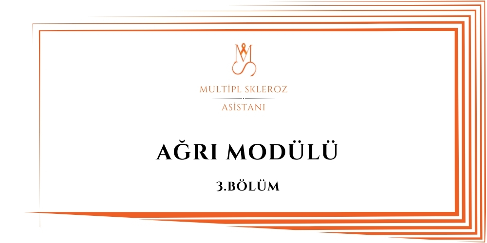 Ağrı Modülü