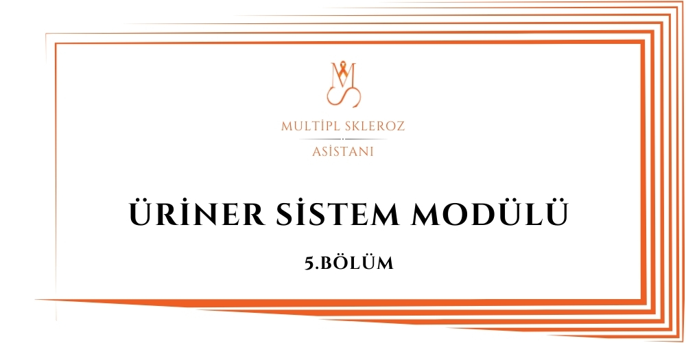 Üriner Sistem Modülü